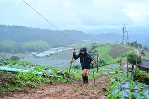 BIB: 
                            <button type="button" onclick="openModal(13378205)" class="btn btn-primary btn-sm float-right btn-popup" data-toggle="modal" data-target=".modal-high-quality">
                        <i class="fas fa-shopping-cart"></i> Add to Cart
                    </button>
                                            <button type="button" onclick="isThisMe(13378205, true)" class="btn btn-success btn-sm float-right btn-popup btn-isme hidden" data-toggle="tooltip" data-placement="bottom" title="นี่คือรูปของคุณใช่ไหม คลิกที่นี่เพื่อเอาเข้าอัลบั้ม">
                        <i class="fas fa-plus"></i> Add to album
                    </button>
                    <button type="button" onclick="isThisMe(13378205, false)" class="btn btn-warning btn-sm float-right btn-popup btn-isnotme hidden">
                        <i class="fas fa-ban"></i> Remove from album
                    </button>